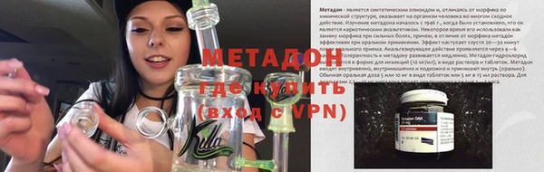 прущие грибы Богданович