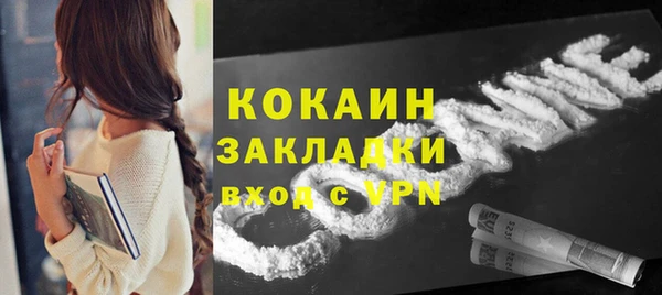 прущие грибы Богданович