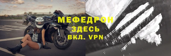 прущие грибы Богданович
