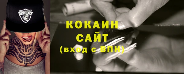 прущие грибы Богданович
