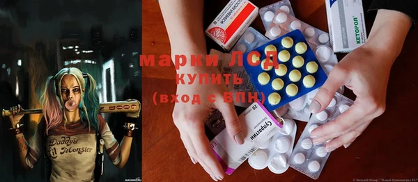 прущие грибы Богданович