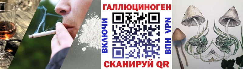 Псилоцибиновые грибы Psilocybine cubensis  Пушкино 