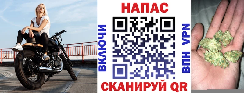 Канабис сатива  Пушкино 